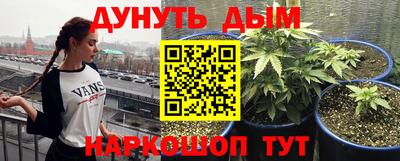a pvp Будённовск